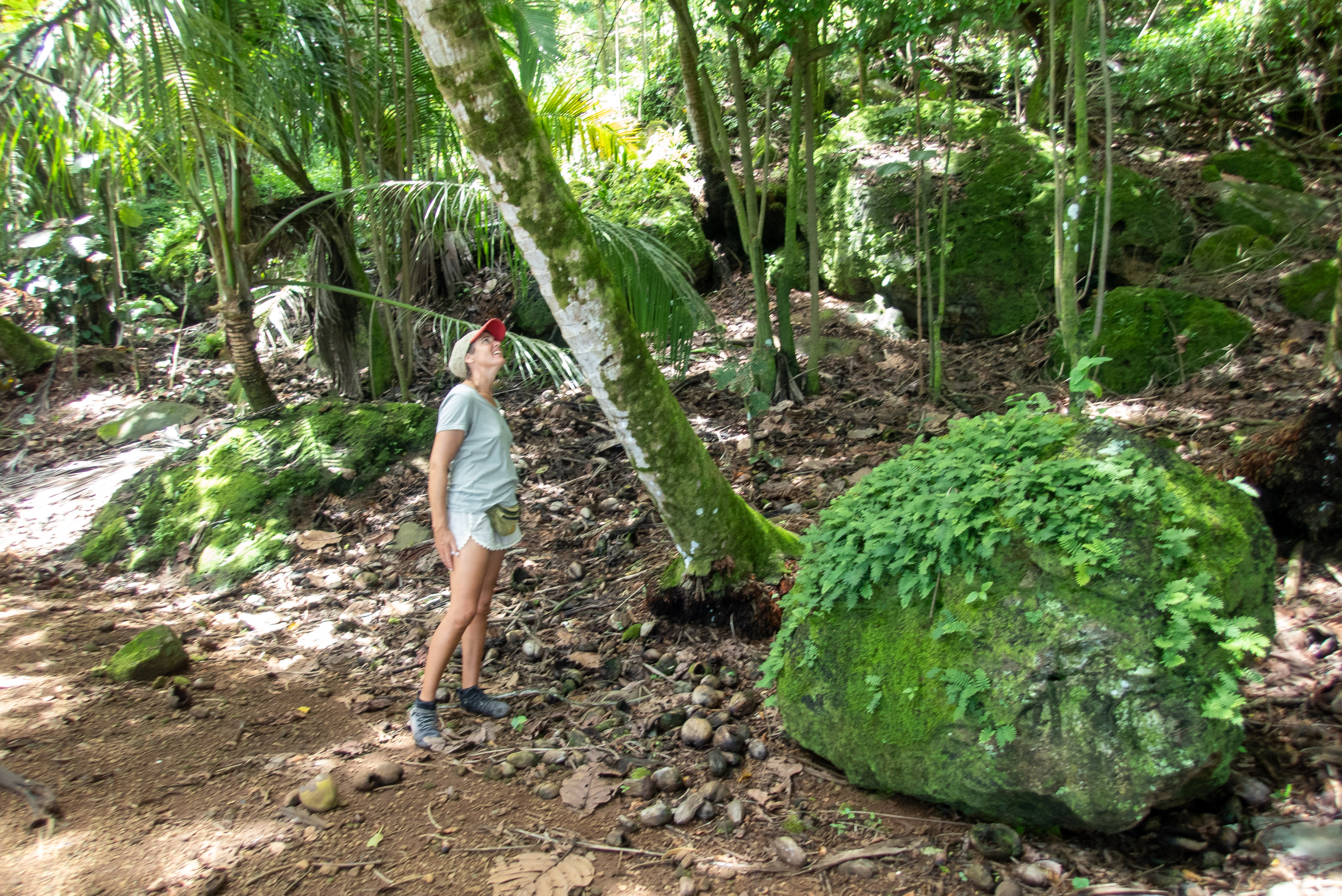 Merel searching for a place to sling her hammock in the rainforest.