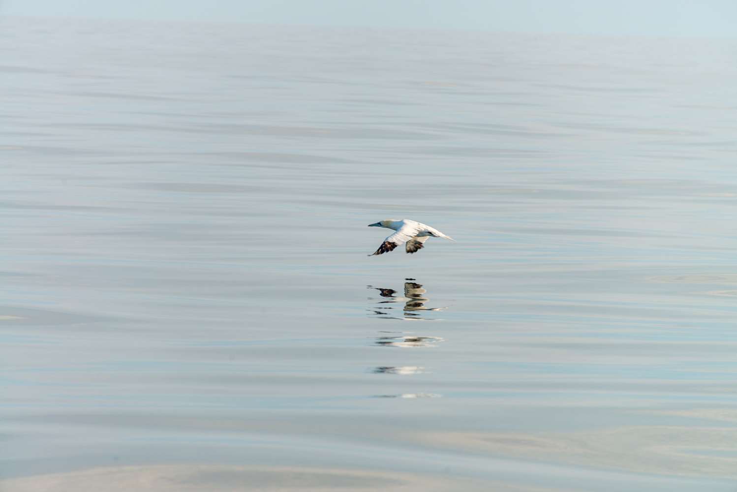 The North Sea