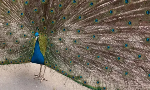 Wow I'm Beautiful!