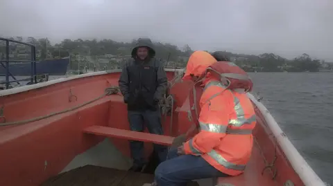 More wet miserable Cox