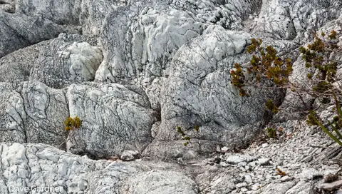 Spain Bay Rocks. White rocks at Spain Bay where we spent the first night in Port Davey.