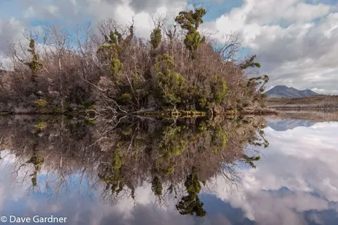 Davey River Reflections. The perfect reflections in the water are disorienting.
