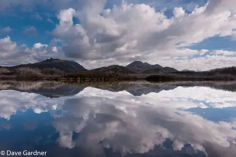 Port Davey