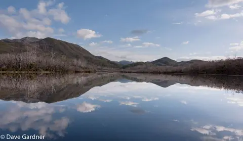 Lower Reaches of Davey River