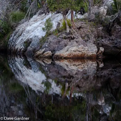 River Rocks and Trees
