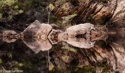Davey River
