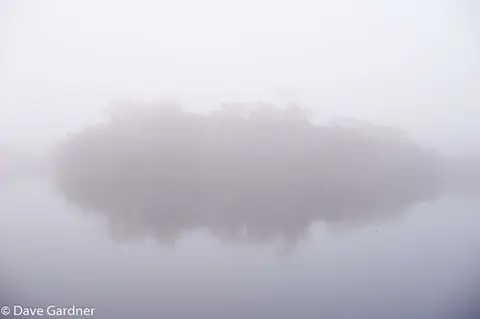 Morning Mist