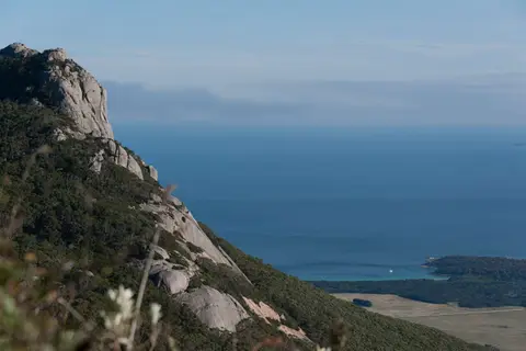 View from Strzelecki Peak