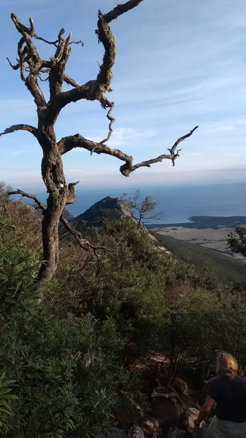 The View from Strzelecki Peak. Anjea in the bay in the far background