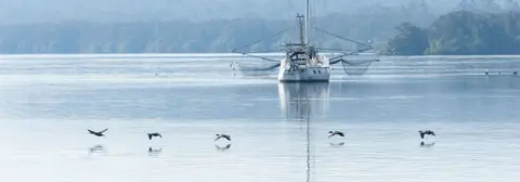 Fishing Boat