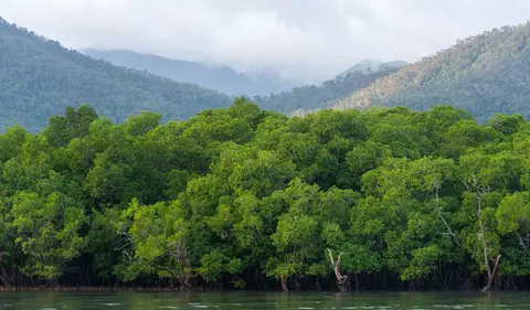 Hinchinbrook Island