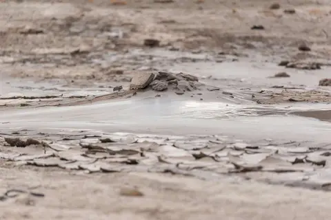 Mud Springs