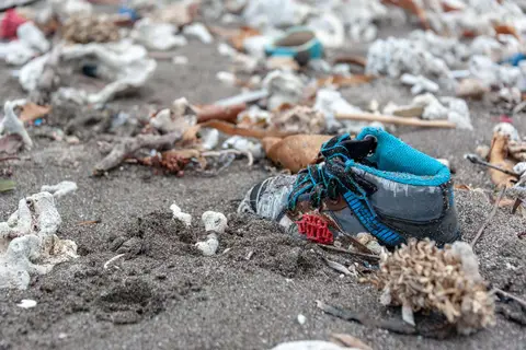Rubbish in Paradise
