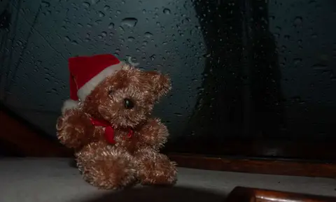 Teddy on a rainy day