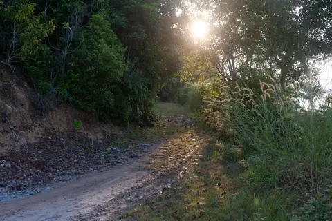 Morning light on my running track.