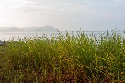 View from Rebak towards Langkawi
