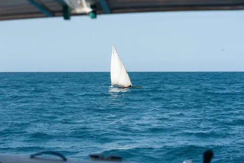 The First Dhow