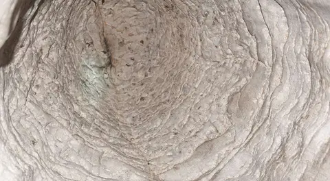 Circular Chamber