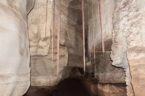 Tree Roots. They look like stalactites but are live roots.