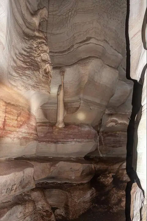 The Penis. There is a whole gallery of rather explicit material!