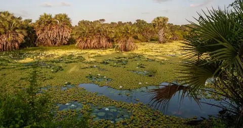 Water Lilly Lake. It is the beginning of the dry season so lakes are all full.