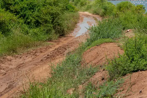 National Park Road. Roads were only just passable in our non 4WD people mover.