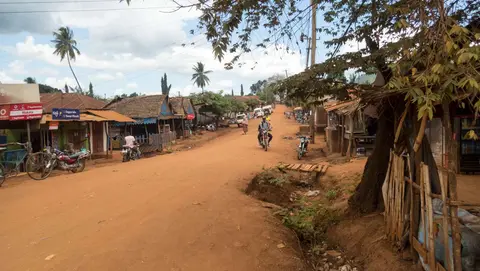 The main street. Chickens, goats and people dodge the traffic in the main street.