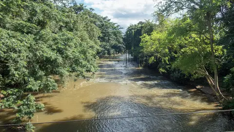 Tanzanian River between Gambero and Muheza