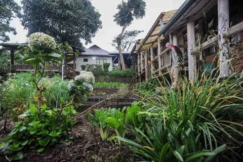 The Farm. Roy strolling through the permaculture gardens at the farm.