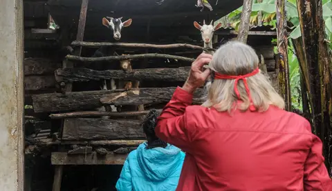 Goats. Domestic animals are kept close to the house, traditionally inside the house.
