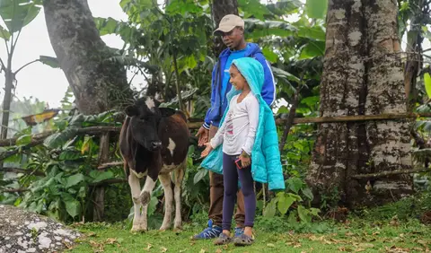 Shy Girl, Shy Cow