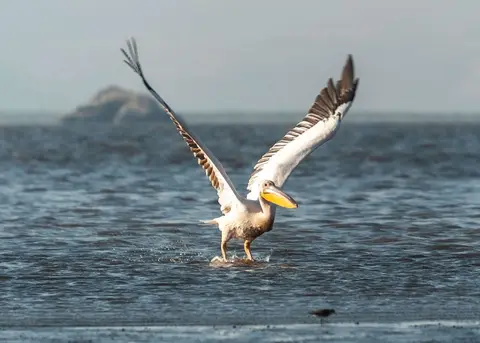 Ready for Takeoff