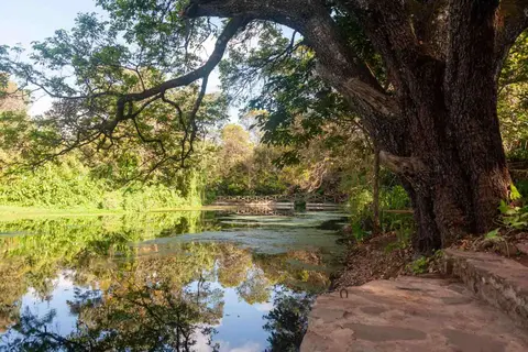 The Lake at Ngare Sero Lodge. The lodge has an extensive waterway with trout farm, energy recovery and this beautiful lake.