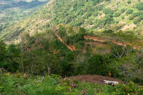 02 Switchback Road