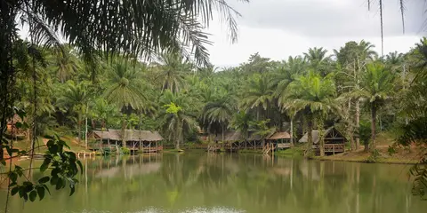 DSC_0634