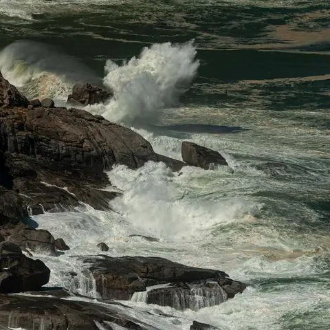 Surf. Cape of Good Hope is open to spectacular swell.
