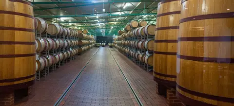 Wine Cellar at Neetlingshaus
