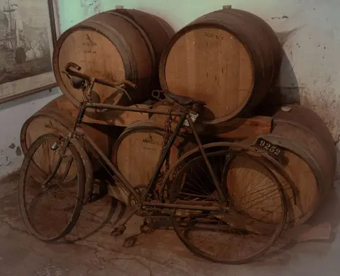 Old Stuff. Outside Muratie Cellars in Stellenbosch.