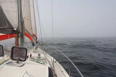 Fog. We ran into fog on the last day. Almost in the tropics yet the water is les than 15C
