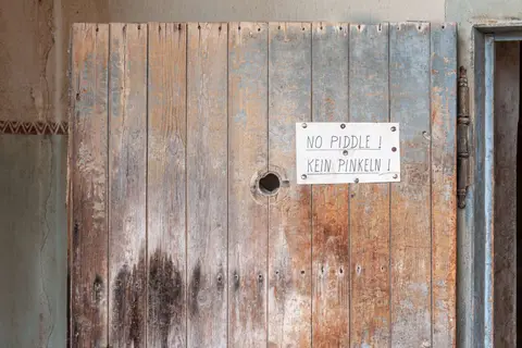 No Shit?