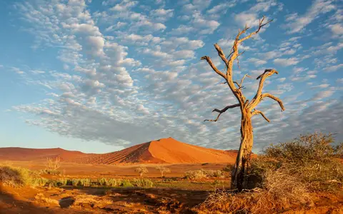Early Morning Light on Unnamed Dune