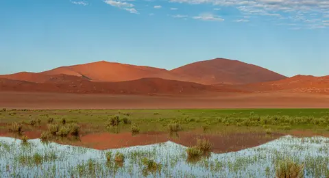 Dune Reflection. The bizzare sight of of a desert sand dune reflected in floodwater.