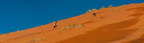 The Other Way to Climb the Dune. The boys decided to go straight up instead of following the ridge. They made it.