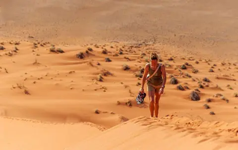 Climbing the Dune. As Edmund Hillary replied when asked why he climbed Everest, 'Because it's there'.