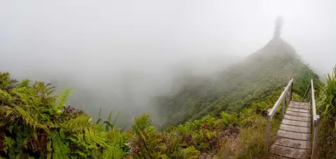 Diana's Peak . Being high up, this walk along a ridge is often in the clouds. The vegetation is lush and green and when the clouds permit the views are fabulous.