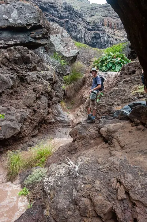 Ed. On the way back up Sharks Valley