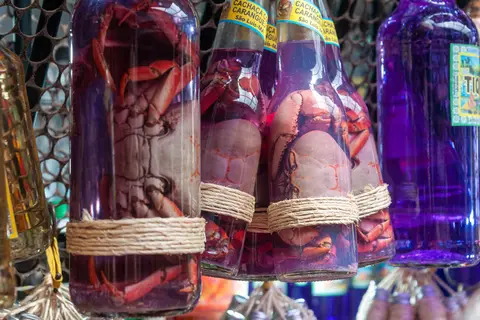 Crab in Tequila. But how does the crab get in the bottle?