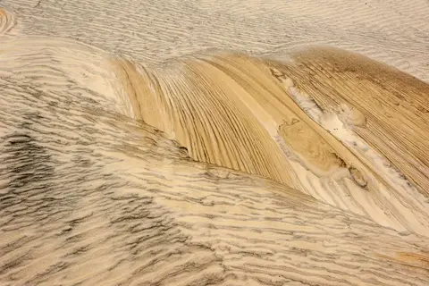 Sand Sculptures. The dunes are full of such patterns.