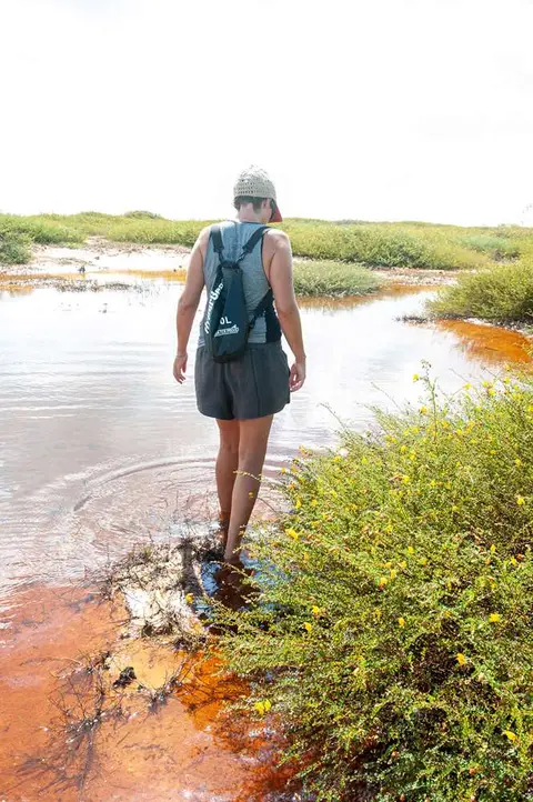 Merel Traverses the Marshes