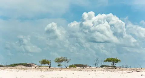 The Front Beach